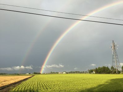 虹🌈