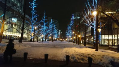 本日の風景