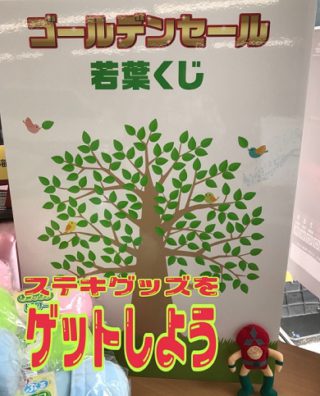 5月です！小樽店的黄金拍卖开始！！（小説つき）