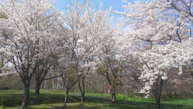 春の後志・隠れた名所編