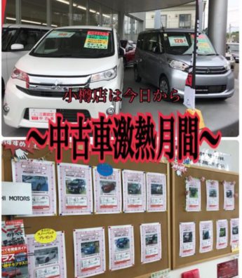 え！？小樽店で中古車を！？強化月間スタートしてます