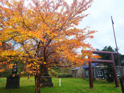 晩秋の後志・秋を追いかけて編