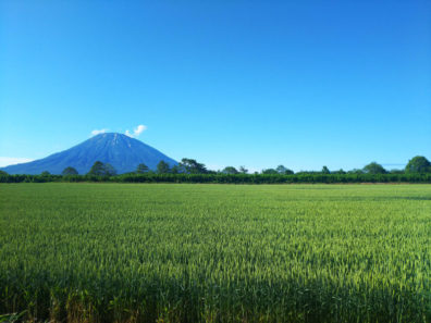 夏の後志・小麦色の肌編＆ご報告