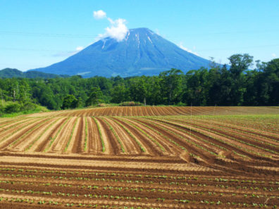 夏の後志・留寿都で遊ぼう！編