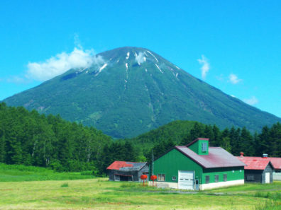 夏の後志・SAVE THE じゃが編