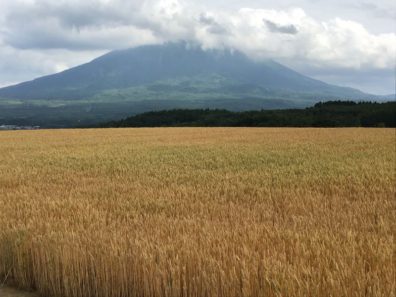 夏の後志・これがいわゆる編