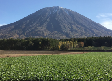 秋の後志・ついにヤツが来た！編