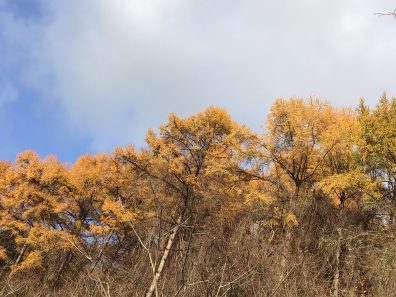 晩秋の後志・この秋最後の・・・編