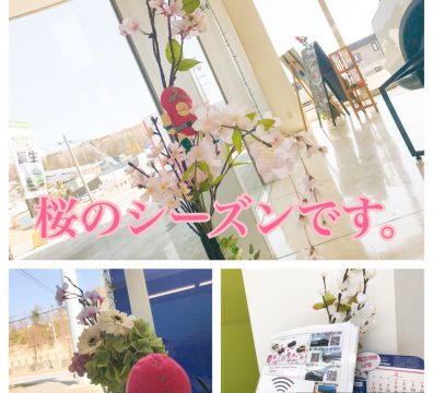 4月の小樽店🌸ショールーム情報