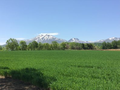 初夏の後志・最強の作物！？編