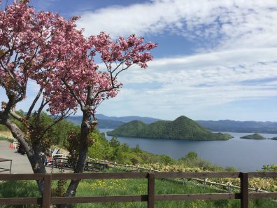 初夏の後志？・ある意味珍しい景色編