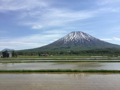 初夏の後志・田植え編