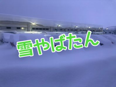 東京海上日動　ＤＡＰに、、、