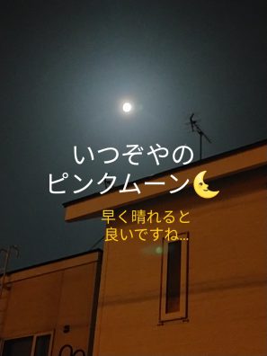 改めましてGW休業のお知らせと中古車情報