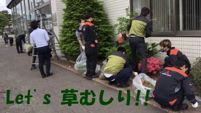 みんなで草むしり 🌿！？