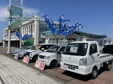 夏色のわさわさ＆パヤパヤ踊る♪♪