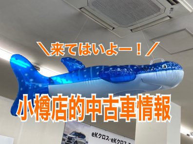 🔥8月に乗りたい中古車情報🔥