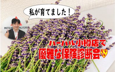 🌻夏といえば！生命保険診断会🌻