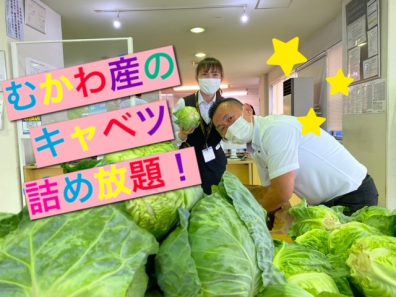 苫小牧店【今週もお得！】来るだけでキャベツ詰め放題⁉