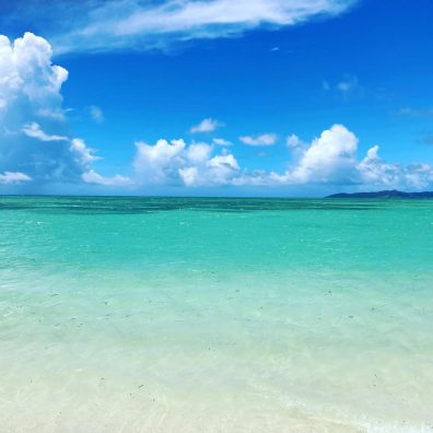 🌺石垣島研修から帰ってきました🌊