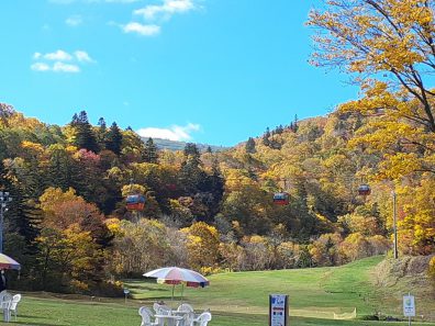 紅葉がきれいです☆彡