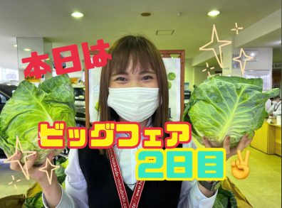 苫小牧店【フェア2日目です！】