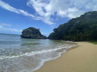 レンタカー研修に行ってきました！⛱