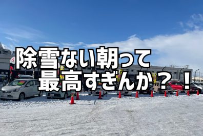 オプション10万円分！何が付けられるのか知ってみたい。