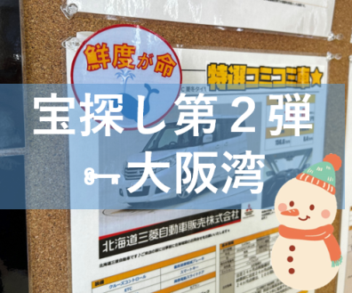 宝さがし第２弾！迷わないようにみんなで見つけてあげてください🐳