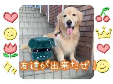 デリ丸。のお友達ご来店🐶