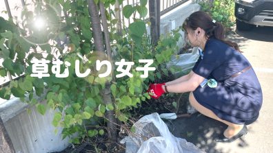 ✨南店の新情報✨