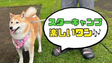苫小牧店【わんこブログ🐶】