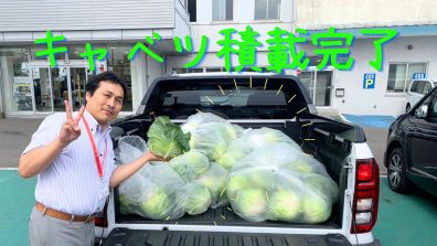 南店🌟キャベツまつり開催します😊
