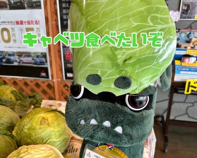 キャベツきた～！！