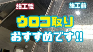 苫小牧店【オススメです！！🐟✨】