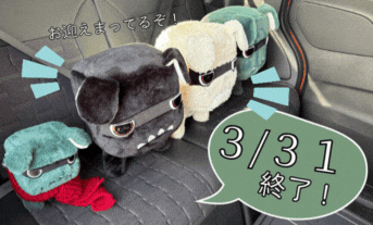 【デリ丸。もらえる終了間近】白デリ丸。黒デリ丸。のお迎えは31日まで💨💨💨