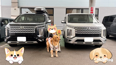 🐶🐶N様納車式🐶🐶