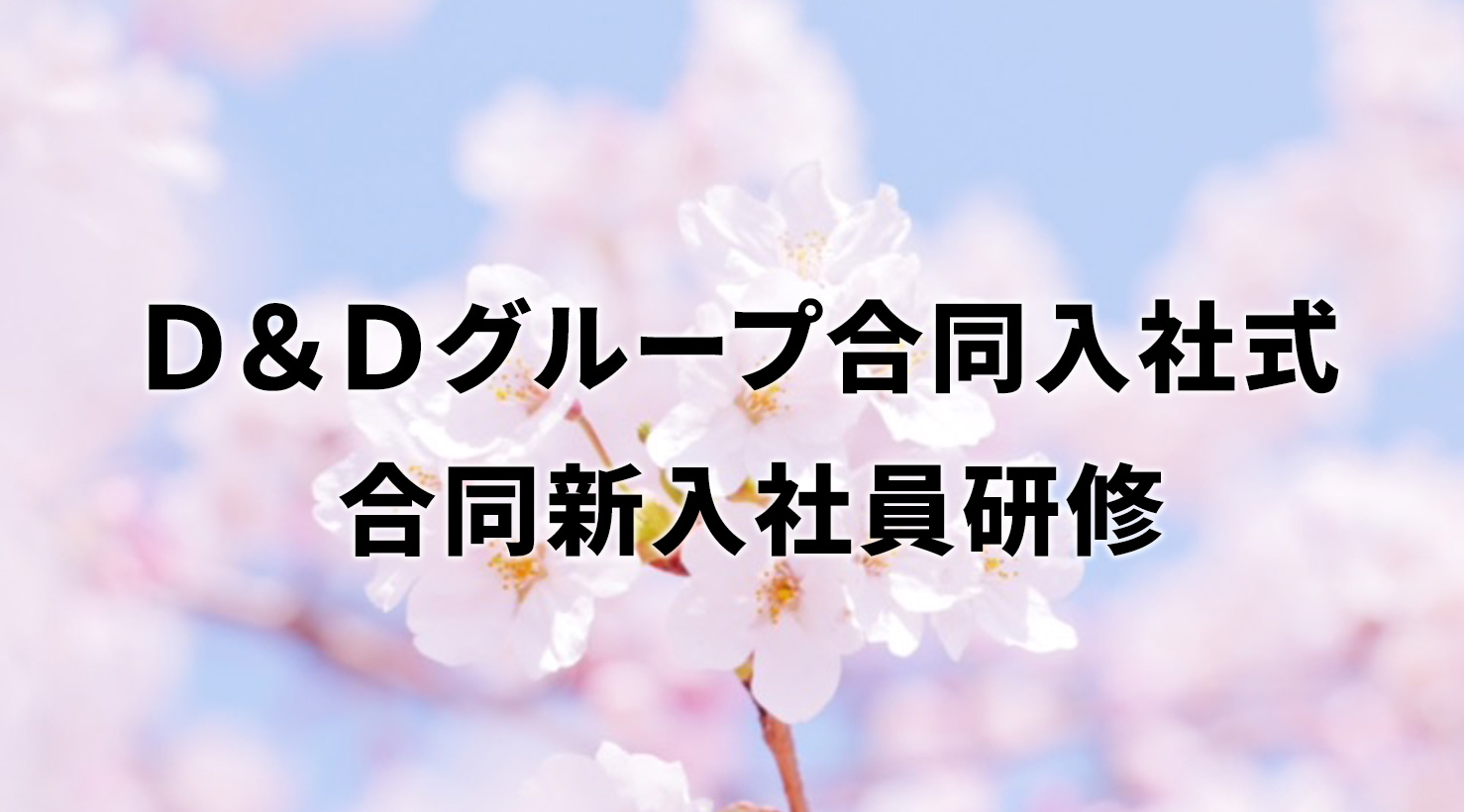 D&Dグループ合同入社式 合同新入社員研修