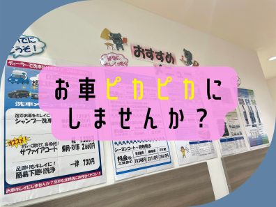 🌠おすすめメニュー🌠