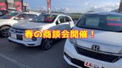 【西店】5月の土日は西店へ！商談会開催中！