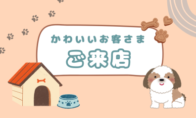 ひさしぶりに、栗くんご来店😍