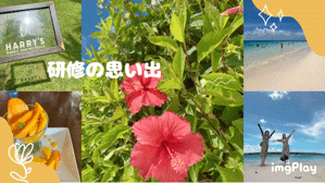 宮古島の思い出🪂