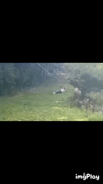 本日より営業開始💨