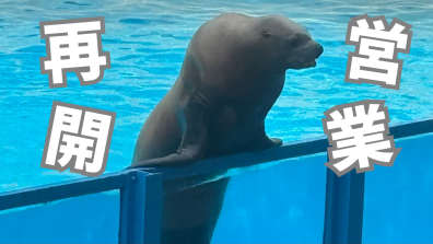 本日より通常営業再開です！