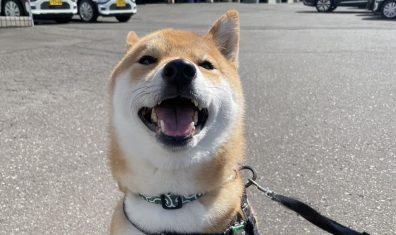 会いたかった