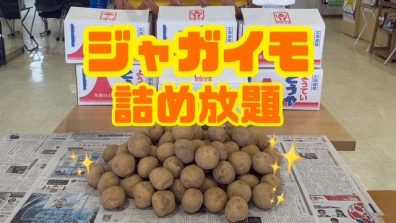 苫小牧店【ジャガイモ詰め放題！！】