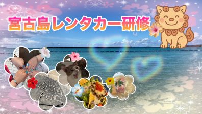 レンタカー研修 in 宮古島🌺