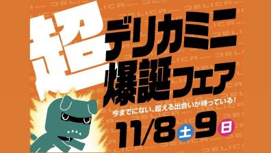 苫小牧店【デリカミニ爆誕フェア開催！💥】