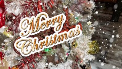 メリークリスマス🎄