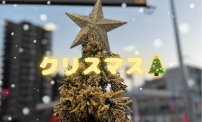 飾り付けをしました🌟